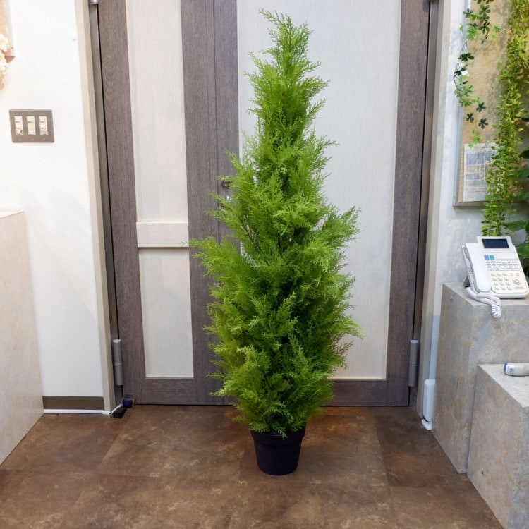 ゴールドクレストポット(XL)180cm|FD3166 アーティフィシャルグリーン 人工観葉植物 人工樹木 簡易鉢付きグリーン