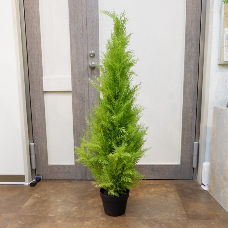 ゴールドクレストポット(S)90cm|FD3167 アーティフィシャルグリーン 人工観葉植物 人工樹木 簡易鉢付きグリーン