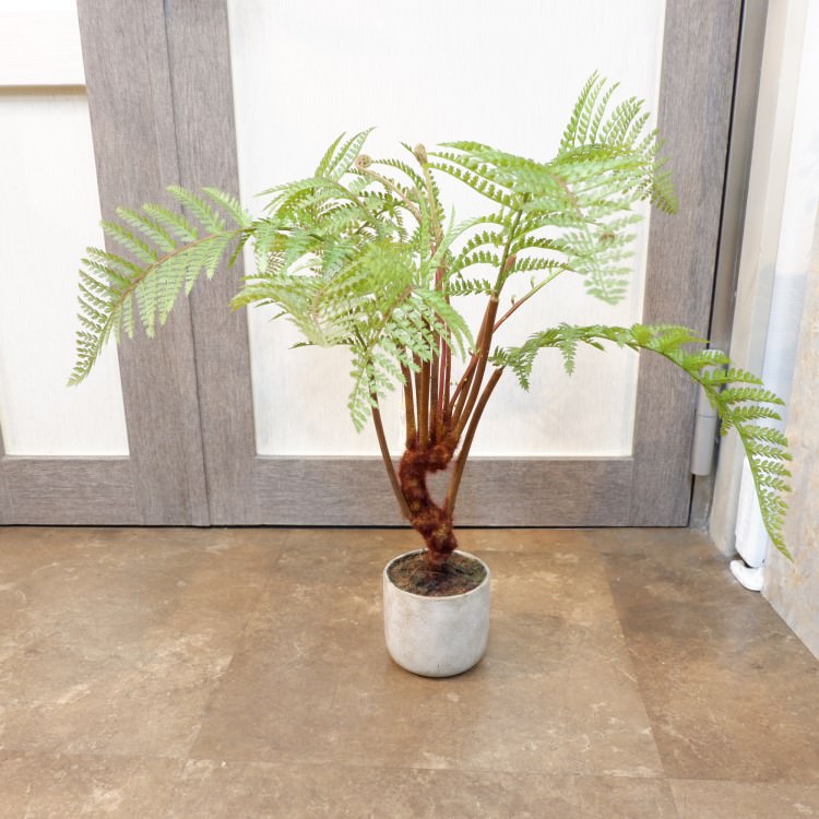 シダリーフポット55cm|FD3703 アーティフィシャルグリーン 人工観葉植物 人工樹木 簡易鉢付きグリーン