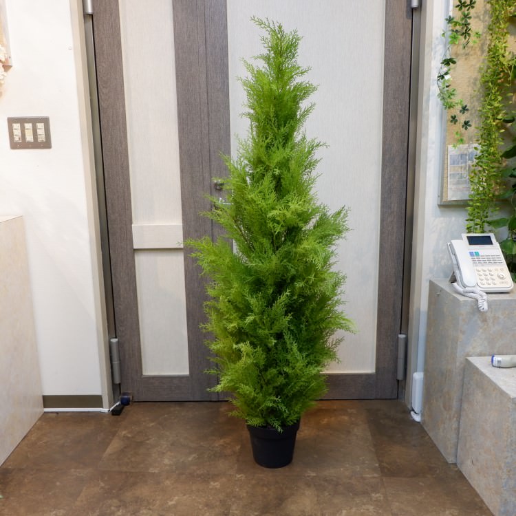 ゴールドクレストポット(L)150cm|FD3704 アーティフィシャルグリーン 人工観葉植物 人工樹木 簡易鉢付きグリーン