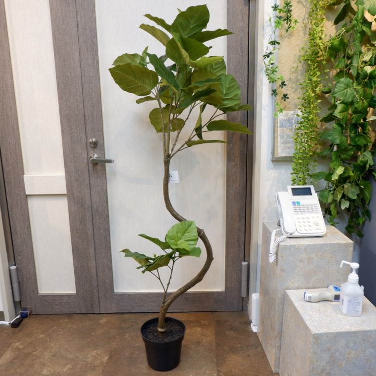 ツイストウンベラータポット152cm|VR22022 アーティフィシャルグリーン 人工観葉植物 人工樹木 簡易鉢付きグリーン