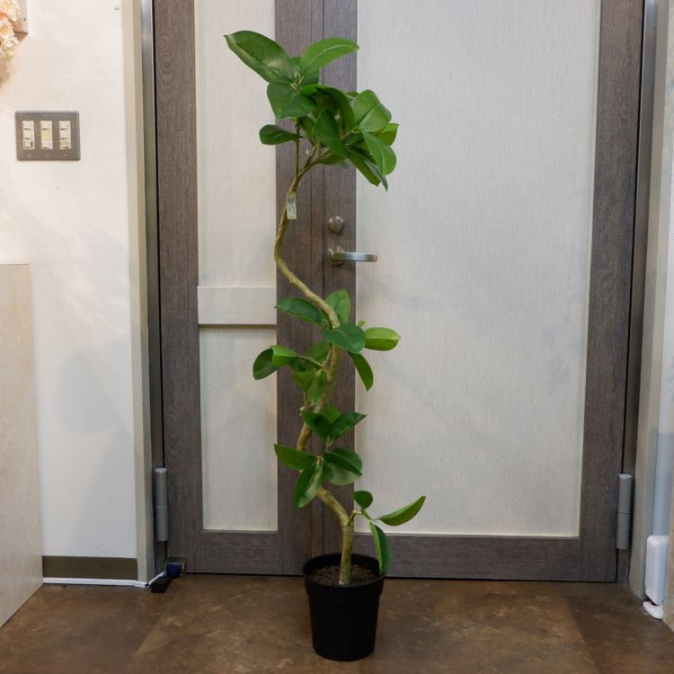 ツイストアルテシマポット122cm|VR22025 アーティフィシャルグリーン 人工観葉植物 人工樹木 簡易鉢付きグリーン