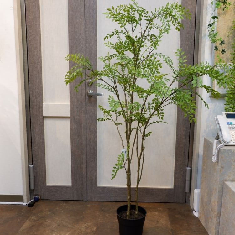 シマトネリコポット152cm|VR22029 アーティフィシャルグリーン 人工観葉植物 人工樹木 簡易鉢付きグリーン
