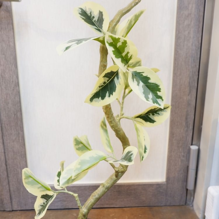 ツイストアルテシマポット122cm|VR22038 アーティフィシャルグリーン 人工観葉植物 人工樹木 簡易鉢付きグリーン