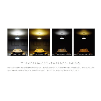 DI CLASSE(ディクラッセ)のLEDシーリングランプ｜ Giorno ceiling pendant lamp GR ジョルノ リーフ