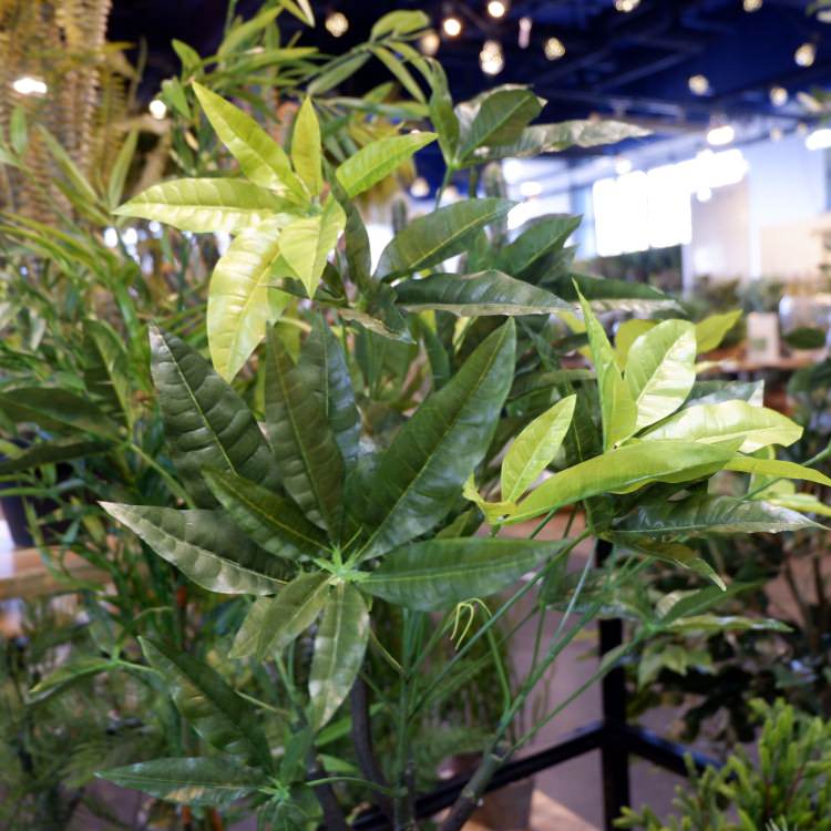 パキラポット 110cm｜GLA-1197 アーティフィシャルグリーン 人工観葉植物 鉢付きグリーン