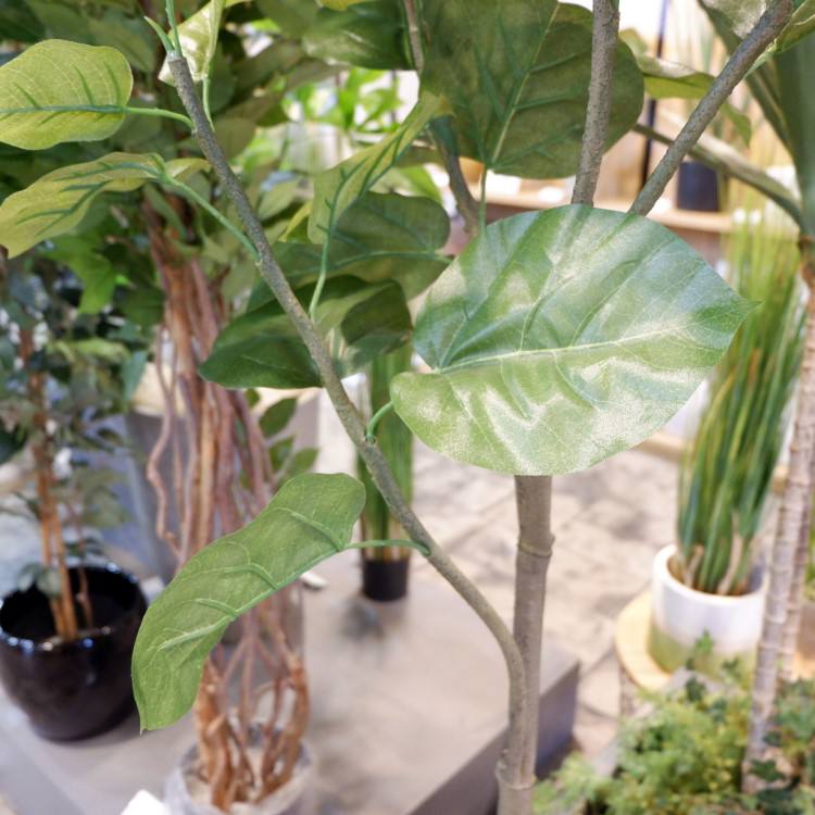 ウンベラータ 120cm｜GLA-1437 アーティフィシャルグリーン 人工観葉植物 鉢付きグリーン