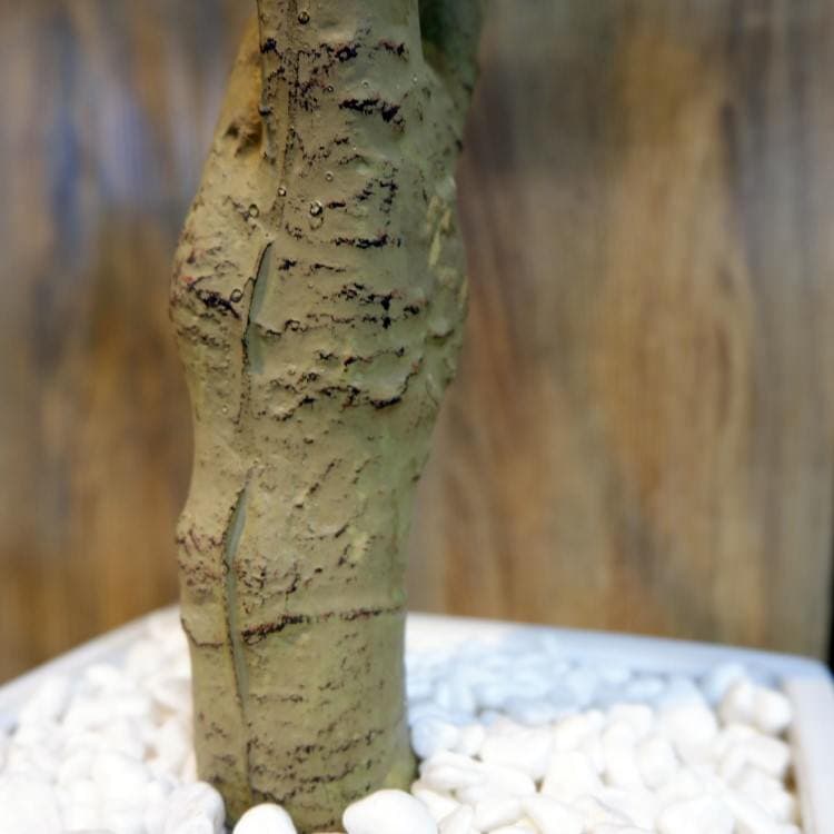 ドラセナコンパクタポット 111cm｜GLA-1471 アーティフィシャルグリーン 人工観葉植物 鉢付きグリーン