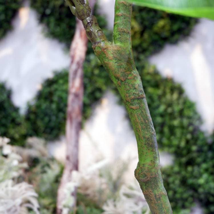 パキラポット 120cm｜GLA-1477 アーティフィシャルグリーン 人工観葉植物 グリーン