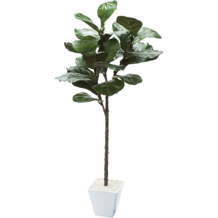 カシワバポット 120cm｜GLA-1501 アーティフィシャルグリーン 人工観葉植物 鉢付きグリーン