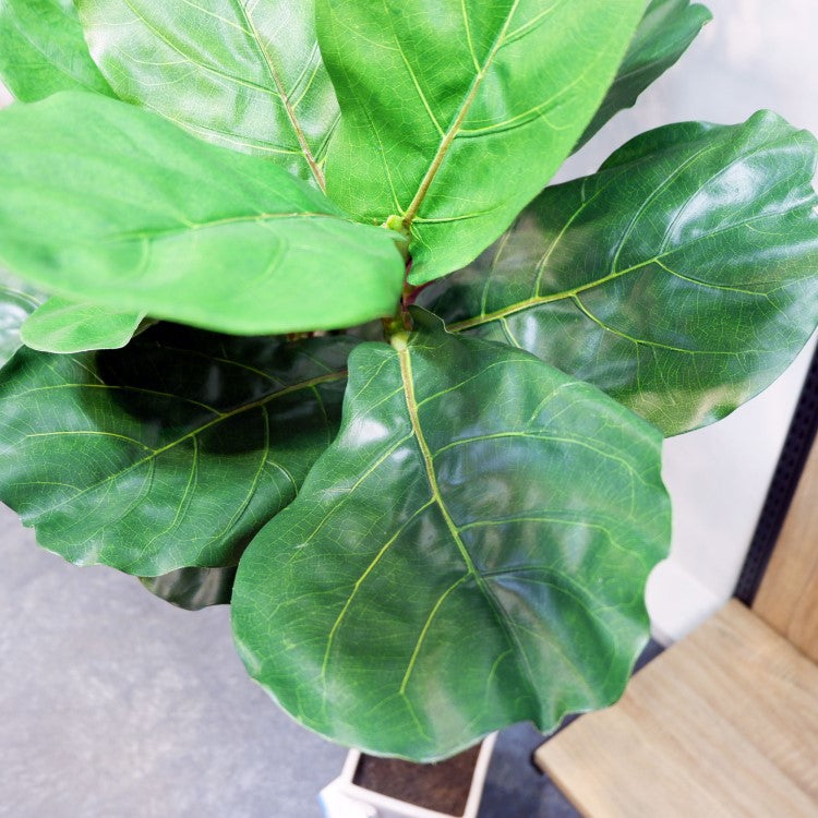 カシワバポット 120cm｜GLA-1501 アーティフィシャルグリーン 人工観葉植物 鉢付きグリーン