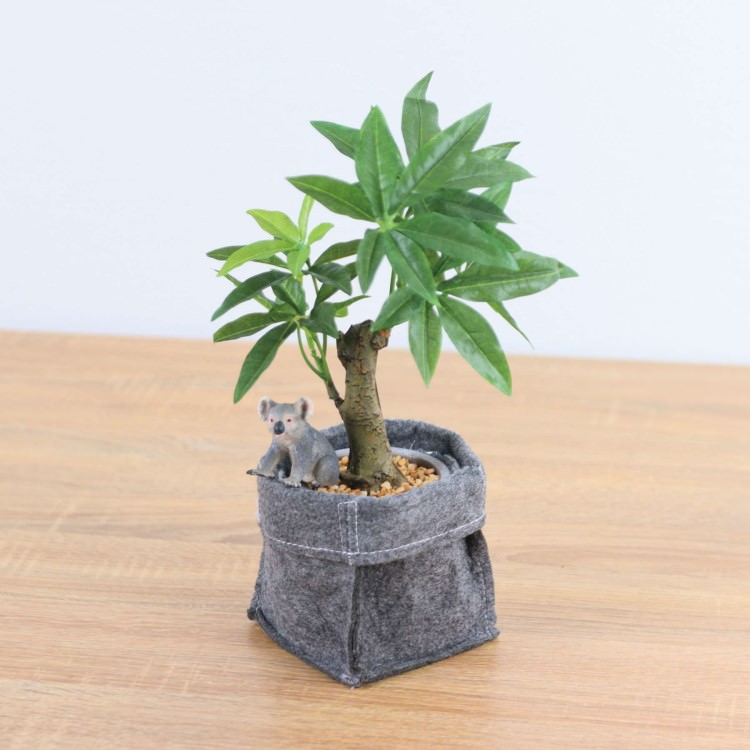 シュライヒ コアラ コーヒーノキ フェルトポット 29cm｜GLA-1521FB アーティフィシャルグリーン 人工観葉植物 グリーン [欠品中・納期未定]