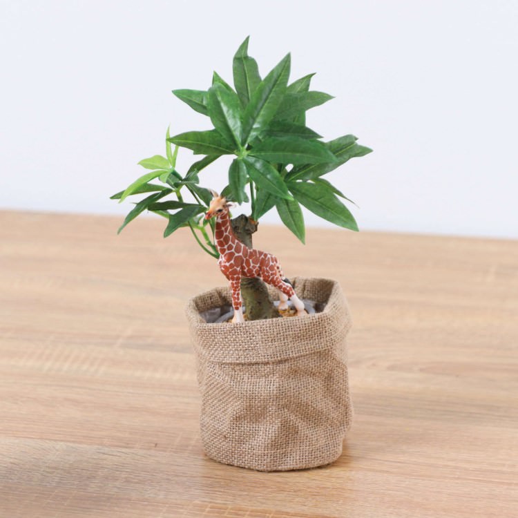 シュライヒ キリン コーヒーノキ 麻ポット 29cm｜GLA-1521JC アーティフィシャルグリーン 人工観葉植物 グリーン