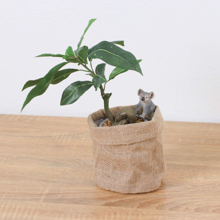 シュライヒ コアラ パキラ 麻ポット 32cm｜GLA-1522JB アーティフィシャルグリーン 人工観葉植物 グリーン