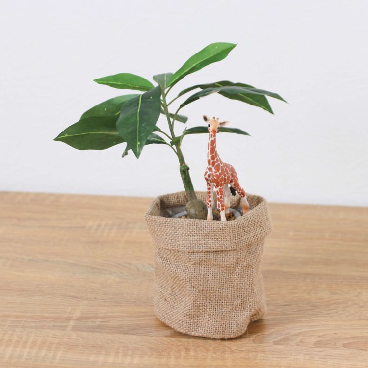 シュライヒ キリン パキラ 麻ポット 32cm｜GLA-1522JC アーティフィシャルグリーン 人工観葉植物 グリーン