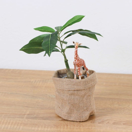 シュライヒ キリン パキラ 麻ポット 32cm｜GLA-1522JC アーティフィシャルグリーン 人工観葉植物 グリーン