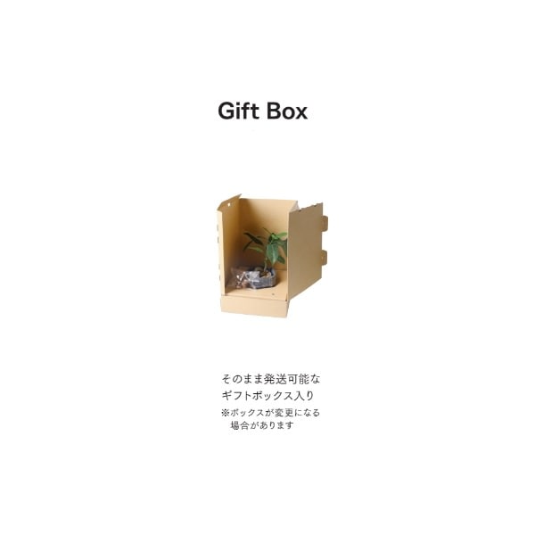シュライヒ ナマケモノ プミラ 麻ポット 24cm｜GLA-1529JA アーティフィシャルグリーン 人工観葉植物 グリーン