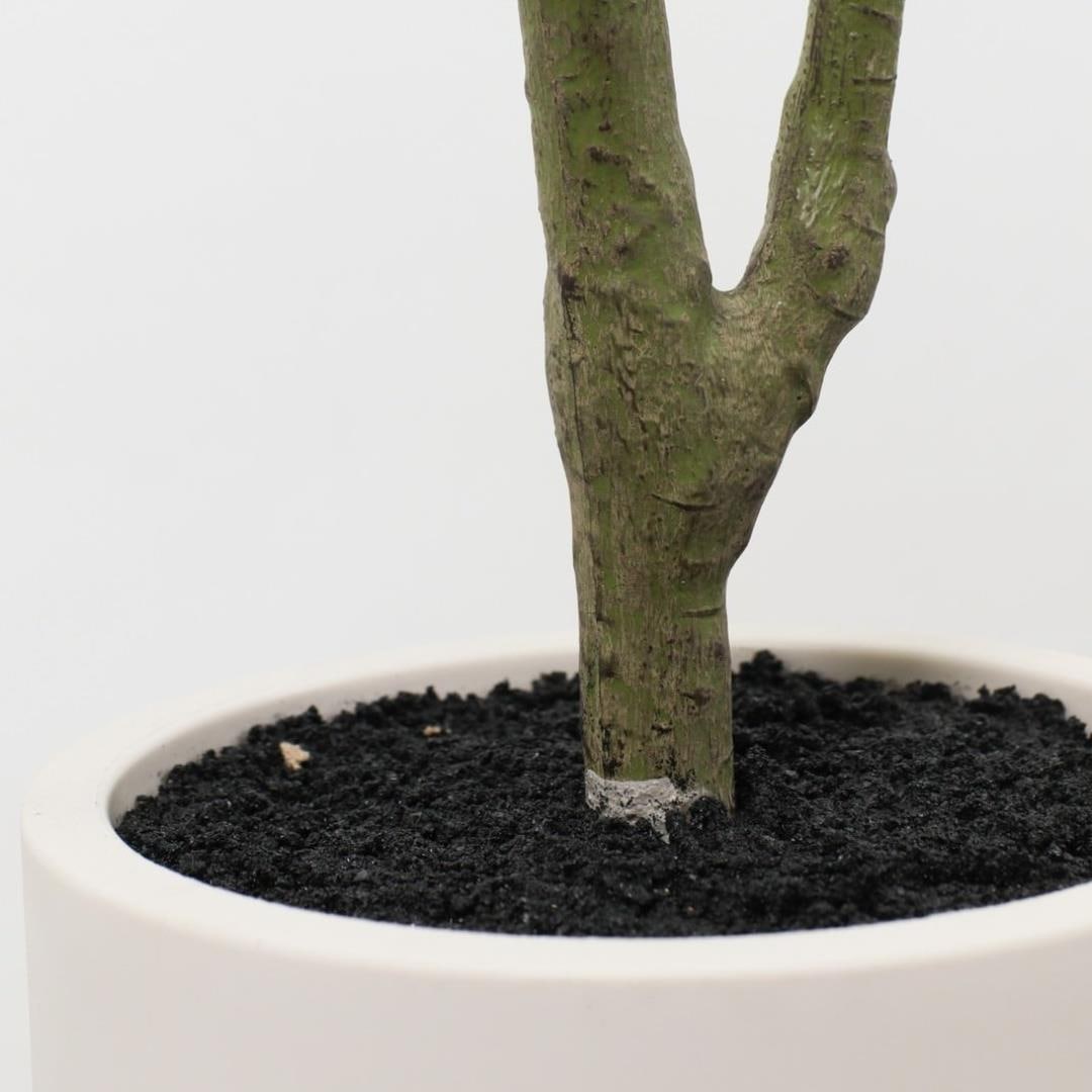 パキラポット 100cm｜GLA-1576 アーティフィシャルグリーン 人工観葉植物 グリーン