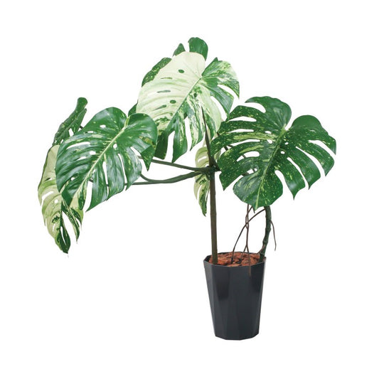 110cmモンステラポット(ポットカラー:ブラック)｜GLAS-1548BKL アーティフィシャルグリーン 人工観葉植物 鉢付きグリーン