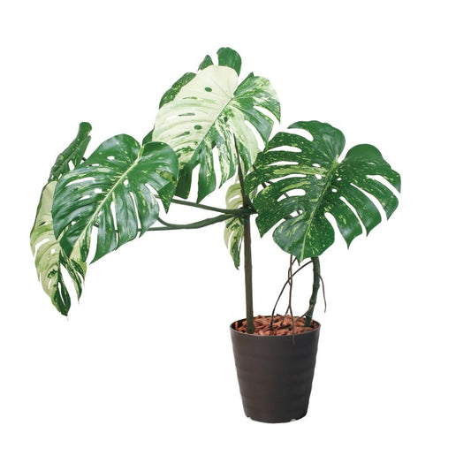 110cmモンステラポット(ポットカラー:ブラウン)｜GLAS-1548BRL アーティフィシャルグリーン 人工観葉植物 鉢付きグリーン
