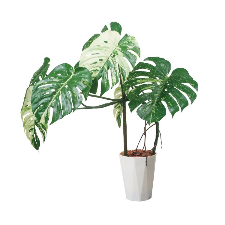 110cmモンステラポット(ポットカラー:パールホワイト)｜GLAS-1548PWL アーティフィシャルグリーン 人工観葉植物 鉢付きグリーン