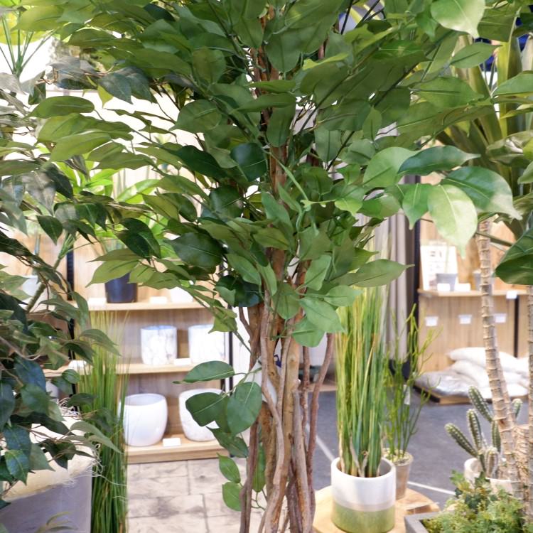 ベンジャミントリプルバイン 180cm｜GLP-1190 アーティフィシャルグリーン 人工観葉植物 グリーン