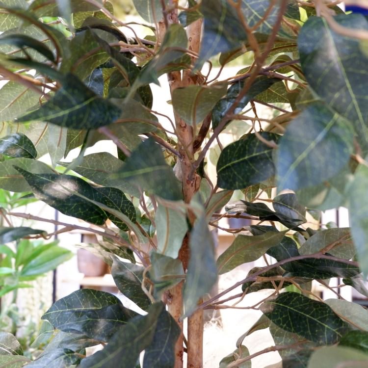ベンジャミントリプルバイン 180cm｜GLP-1190 アーティフィシャルグリーン 人工観葉植物 グリーン