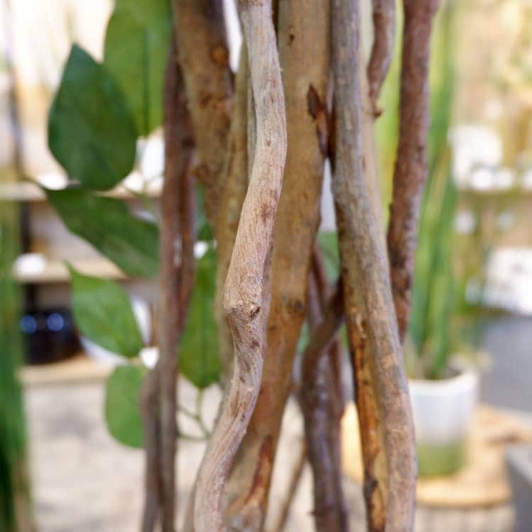 ベンジャミントリプルバイン 180cm｜GLP-1190 アーティフィシャルグリーン 人工観葉植物 グリーン