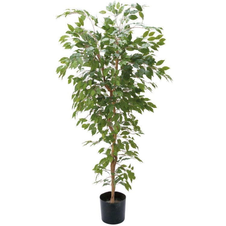 ベンジャミンフィカス 180cm｜GLP-1290 アーティフィシャルグリーン 人工観葉植物 グリーン