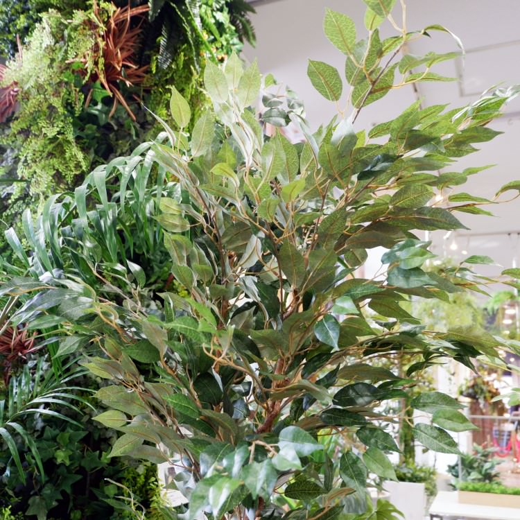 ベンジャミンフィカス 180cm｜GLP-1290 アーティフィシャルグリーン 人工観葉植物 グリーン