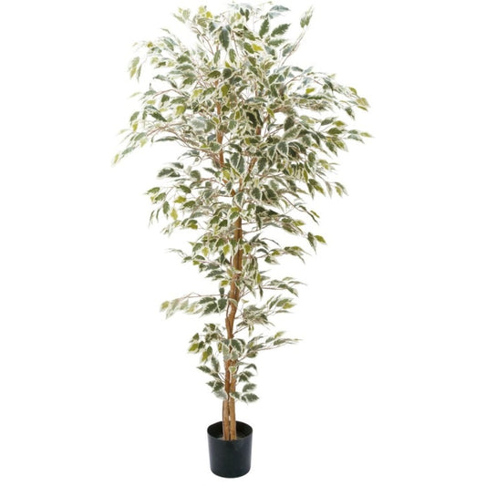 ベンジャミンフィカスハワイアン 180cm｜GLP-1310 アーティフィシャルグリーン 人工観葉植物 グリーン