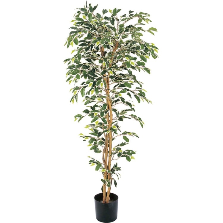 ベンジャミンフィカスハワイアン 150cm｜GLP-1320 アーティフィシャルグリーン 人工観葉植物 グリーン