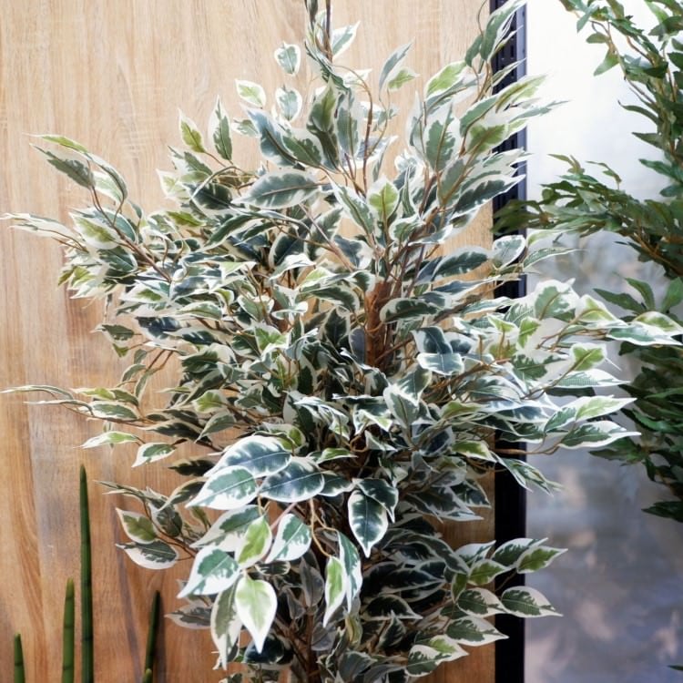 ベンジャミンフィカスハワイアン 150cm｜GLP-1320 アーティフィシャルグリーン 人工観葉植物 グリーン