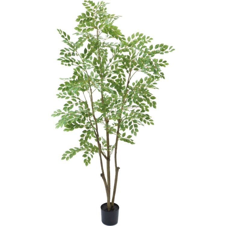 トネリコ 180cm｜GLP-1497 アーティフィシャルグリーン 人工観葉植物 グリーン