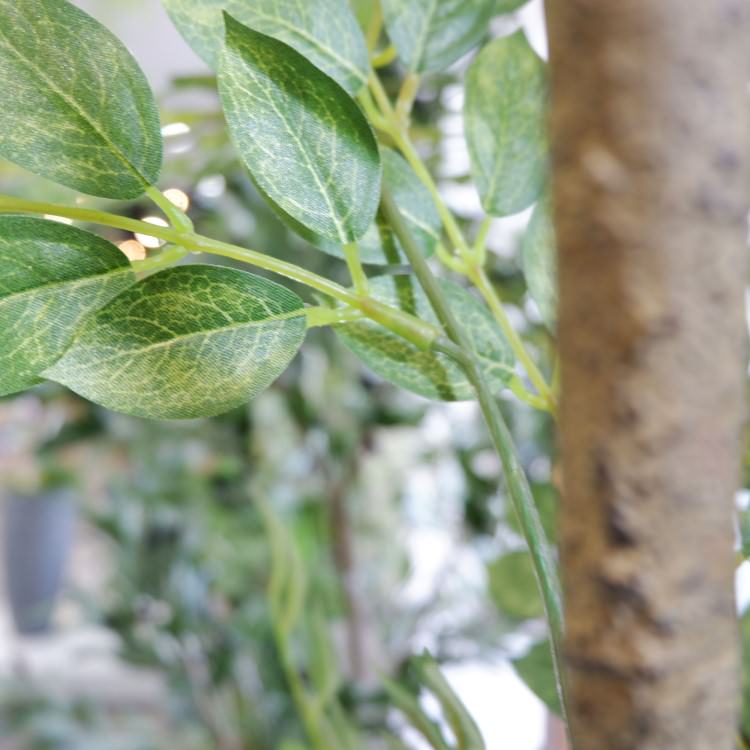 トネリコ 180cm｜GLP-1497 アーティフィシャルグリーン 人工観葉植物 グリーン