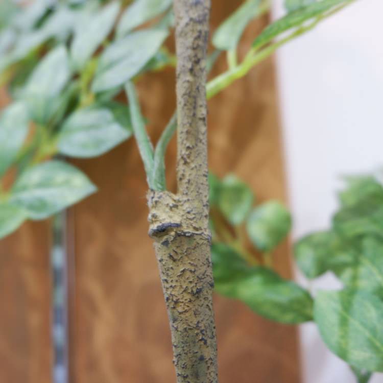 トネリコ 180cm｜GLP-1497 アーティフィシャルグリーン 人工観葉植物 グリーン