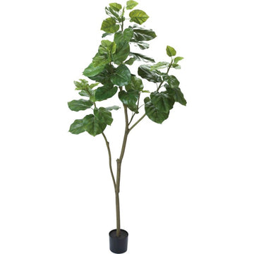 ウンベラータ 180cm｜GLP-1498 アーティフィシャルグリーン 人工観葉植物 グリーン