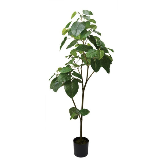 ウンベラータ 180cm｜GLP-1512 アーティフィシャルグリーン 人工観葉植物 グリーン