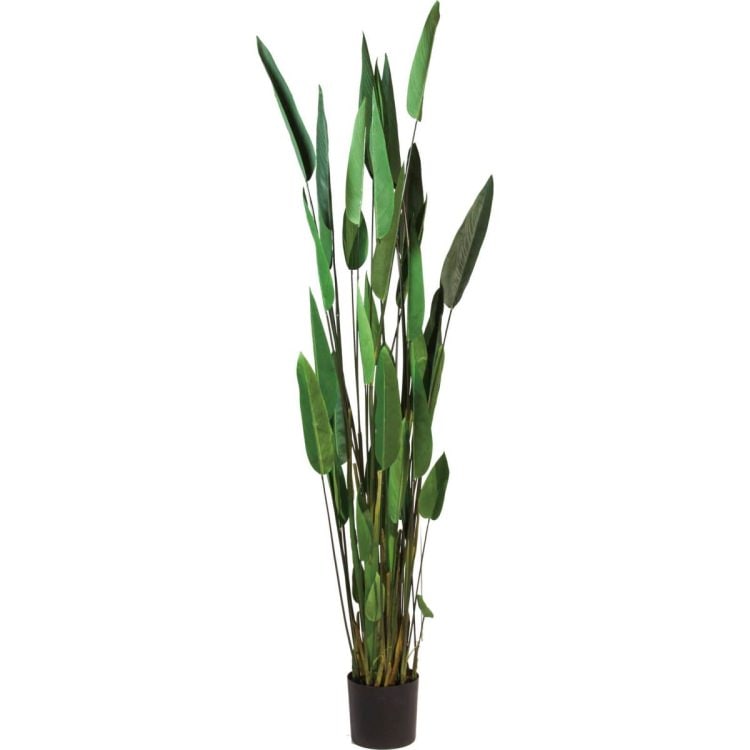 カンナ 200cm｜GLP-1513 アーティフィシャルグリーン 人工観葉植物 グリーン