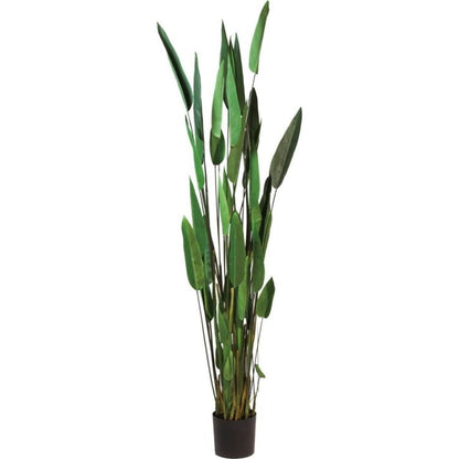 カンナ 200cm｜GLP-1513 アーティフィシャルグリーン 人工観葉植物 グリーン