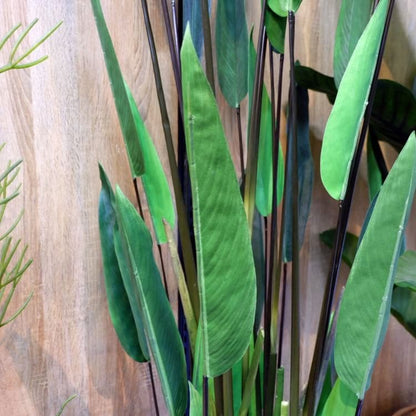 カンナ 200cm｜GLP-1513 アーティフィシャルグリーン 人工観葉植物 グリーン