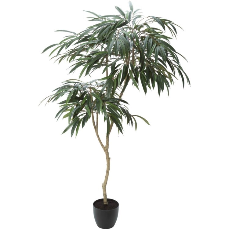 ショウナンゴム 180cm｜GLP-1516 アーティフィシャルグリーン 人工観葉植物 グリーン