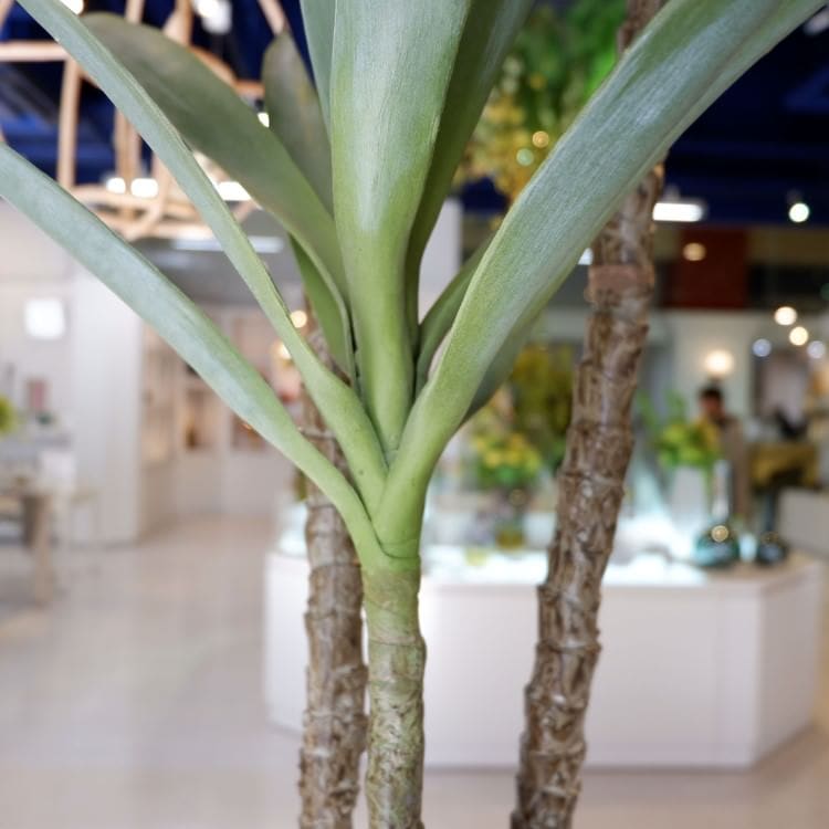 ユッカエレファンティペス 155cm｜GLP-1519 アーティフィシャルグリーン 人工観葉植物 グリーン