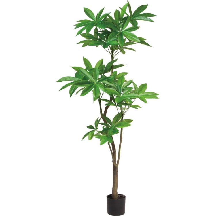 パキラ 180cm｜GLP-1522 アーティフィシャルグリーン 人工観葉植物 グリーン