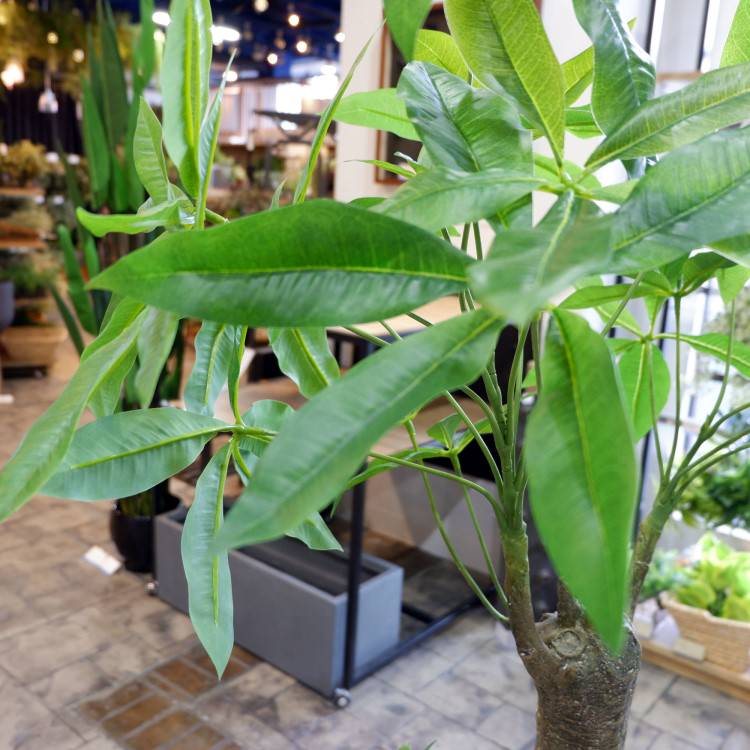 パキラ 180cm｜GLP-1522 アーティフィシャルグリーン 人工観葉植物 グリーン