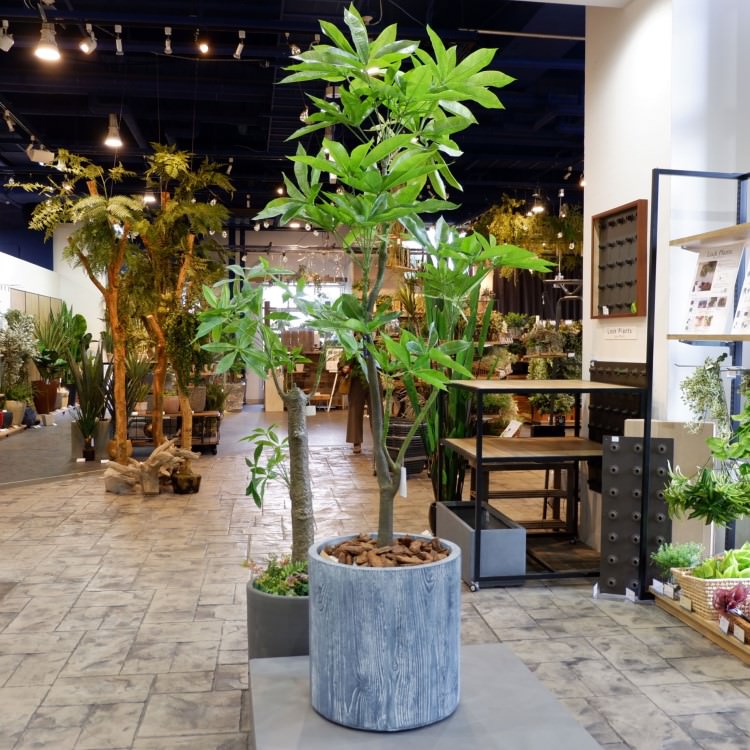 パキラ 180cm｜GLP-1522 アーティフィシャルグリーン 人工観葉植物 グリーン