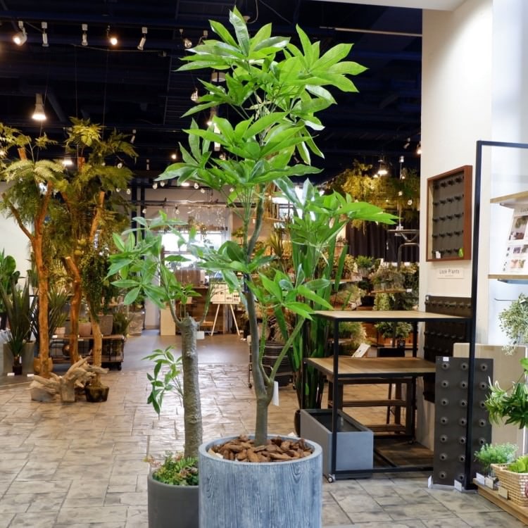 パキラ 180cm｜GLP-1522 アーティフィシャルグリーン 人工観葉植物 グリーン
