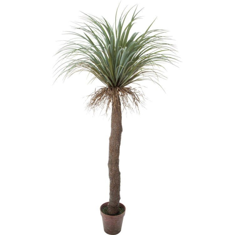 ユッカロストラータ 200cm｜GLP-1523 アーティフィシャルグリーン 人工観葉植物 グリーン