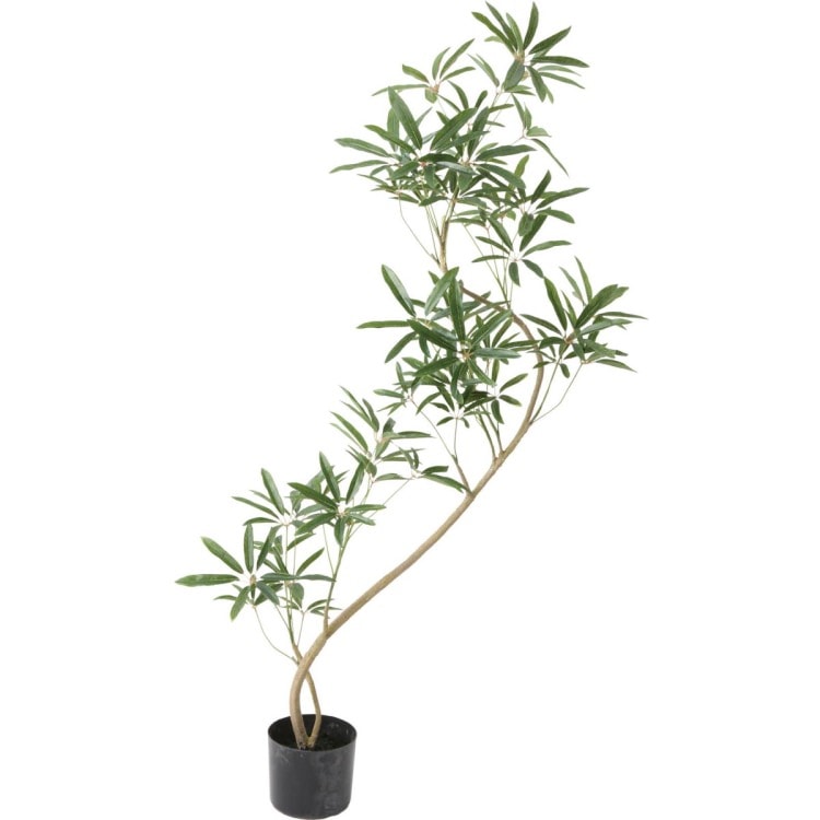 シェフレラアンガスティフォリア 137cm｜GLP-1532 アーティフィシャルグリーン 人工観葉植物 グリーン