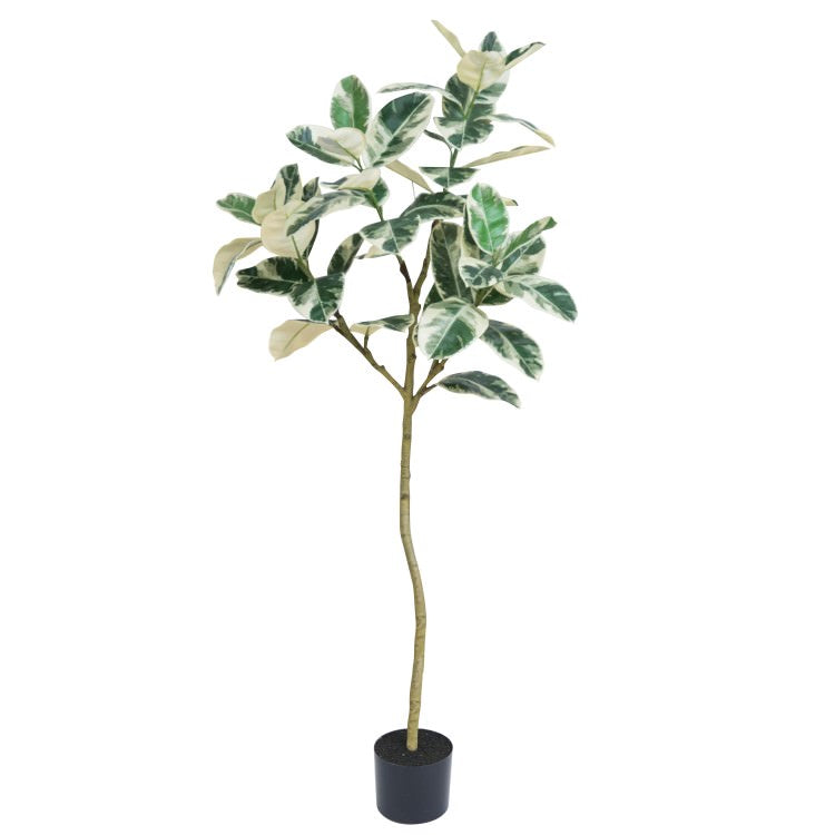 フィカスアルテシマ 150cm｜GLP-1533 アーティフィシャルグリーン 人工観葉植物 鉢付きグリーン